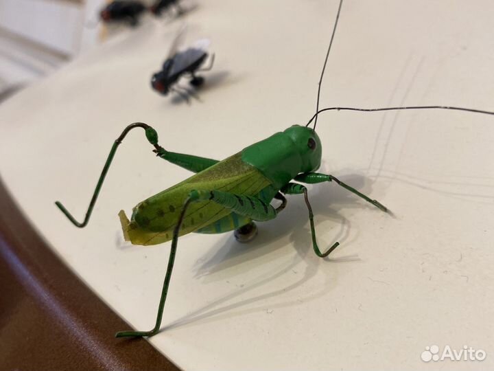 Насекомые реалистические Нидерланды