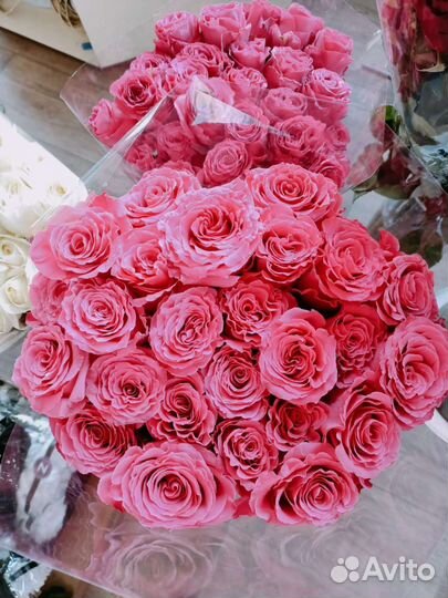 Красные розы Эквадор, хризантемы Эквадор