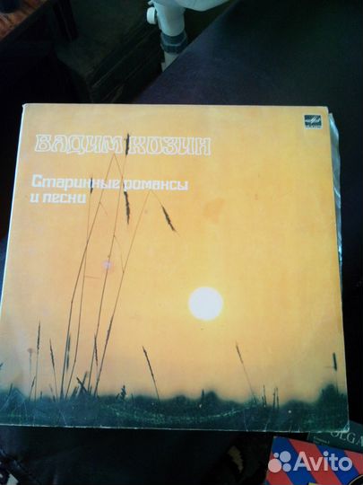 Пластинки виниловые