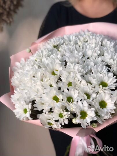 Букет из 15 кустовых белых хризантем