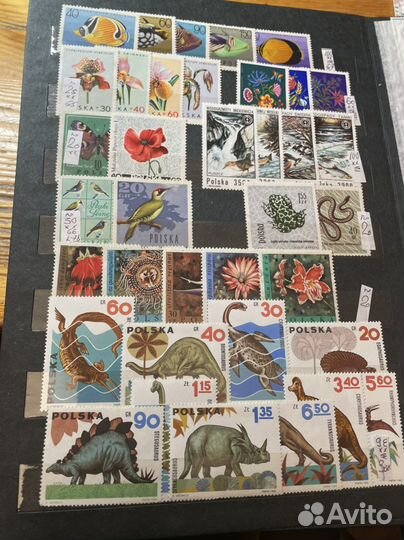 Каталог марок Флора и Фауна. Чистые, хх