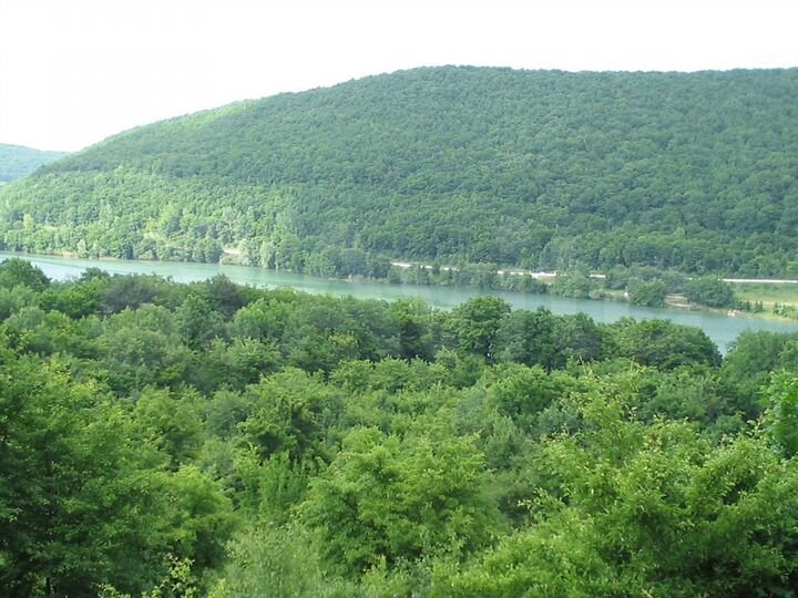 Участок 95 сот. (СНТ, ДНП)