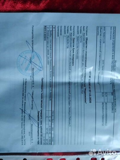 Брейсы медвежонок