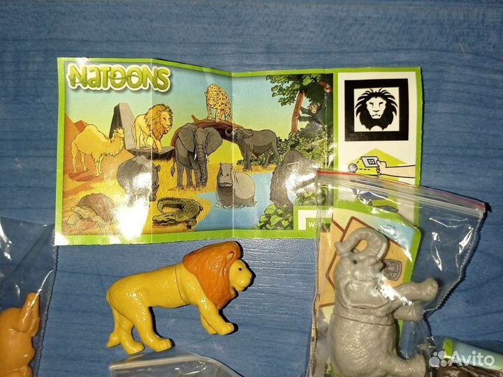 Kinder Funny Students II Natoons 2012