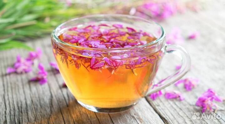 Кипрей ферментированный