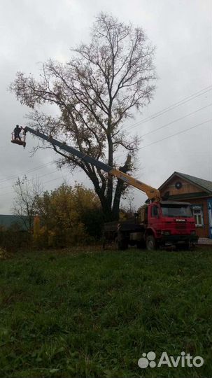 Манипулятор