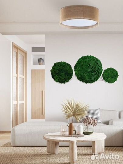 Пано из стабилизированного мха