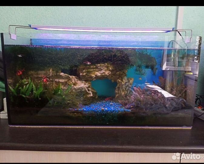 Аквариум