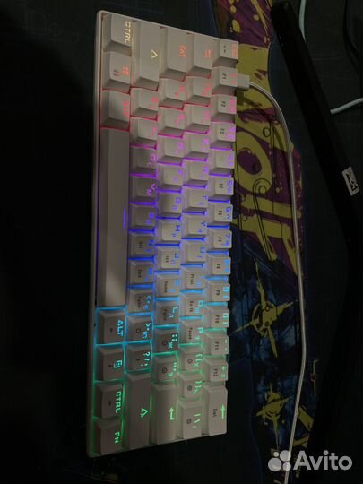 Tanto RGB Dexp