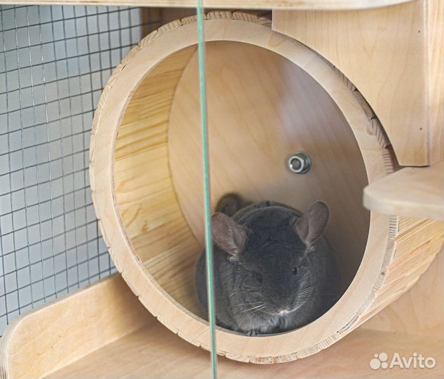 Клетка деревянная Витрина для грызунов шиншилл дег