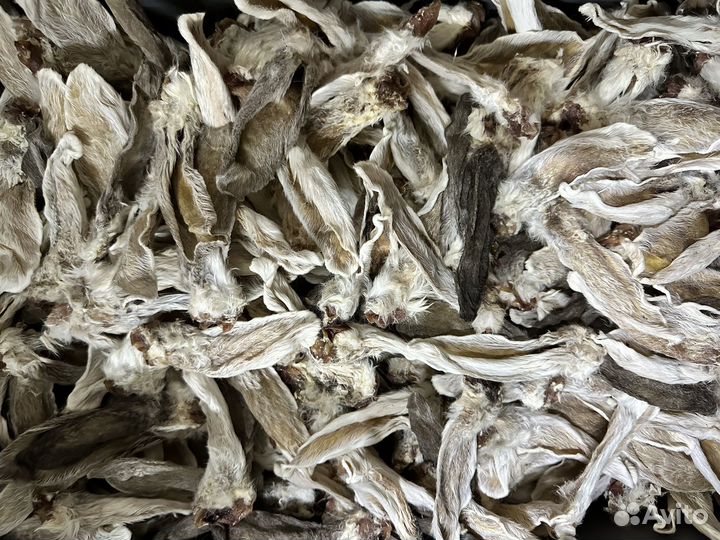 Ушки кролика / лакомства для собак