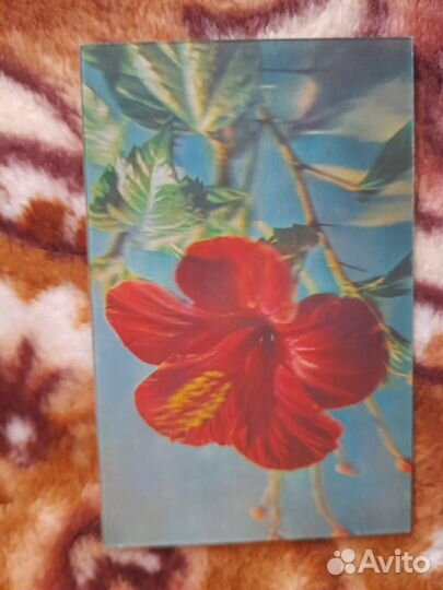 Стереофото