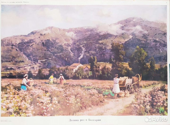 Картины- Плакаты СССР 1968 г