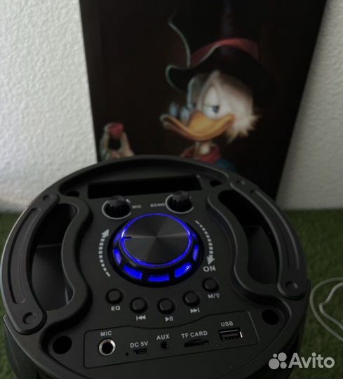 Колонка с микрофоном до 1000 вт