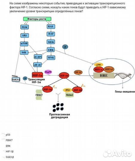 Помощь по биологии и химии