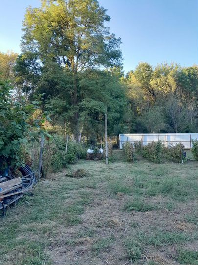 Участок 22 сот. (СНТ, ДНП)