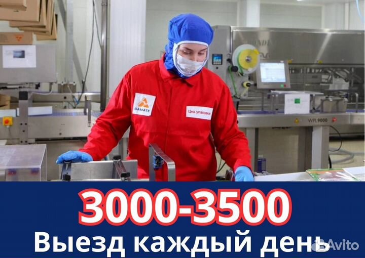 Упаковщики с Питанием и Проживанием