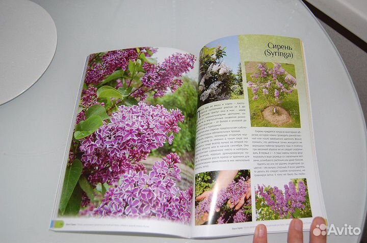 Книги по ландшафтному дизайну новые, каждая по