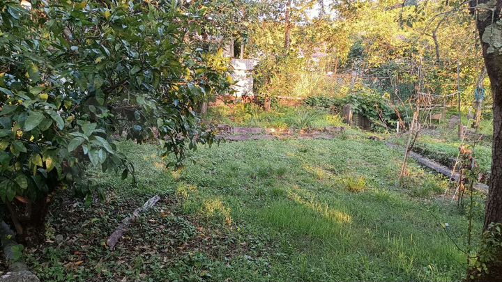 Участок 8 сот. (СНТ, ДНП)