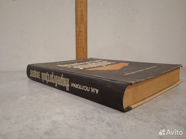 Полторак А.И. Нюрнбергский эпилог