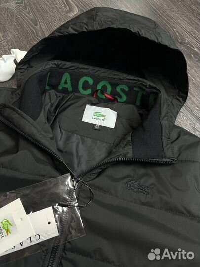 Куртка мужская lacoste 52 размер