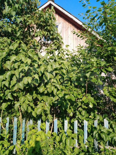 Участок 6 сот. (СНТ, ДНП)
