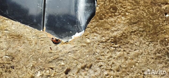 Переднее левое крыло Daewoo Nexia