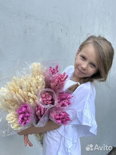 Пшеница сухоцвет