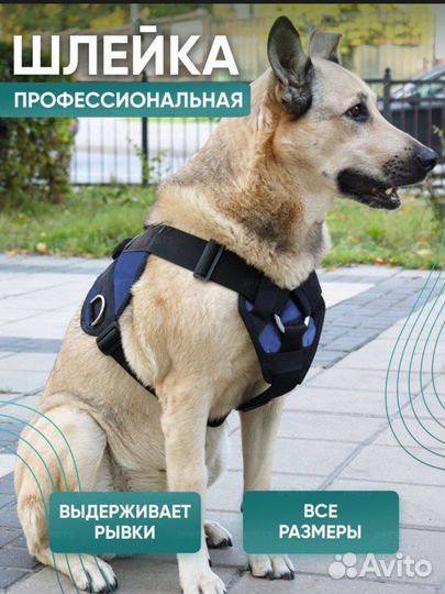 Шлейка