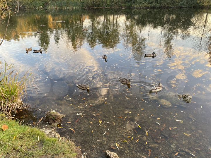 Дача 60 м² на участке 4 сот.