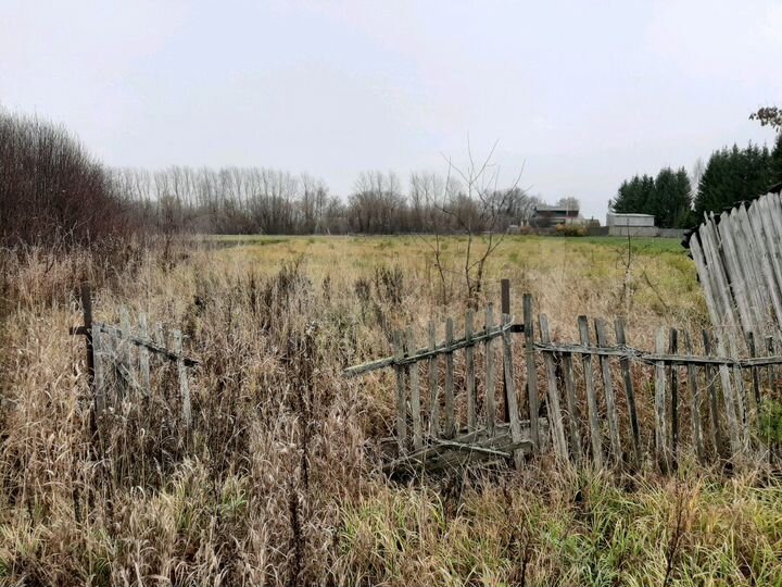 Участок 33 сот. (ИЖС)