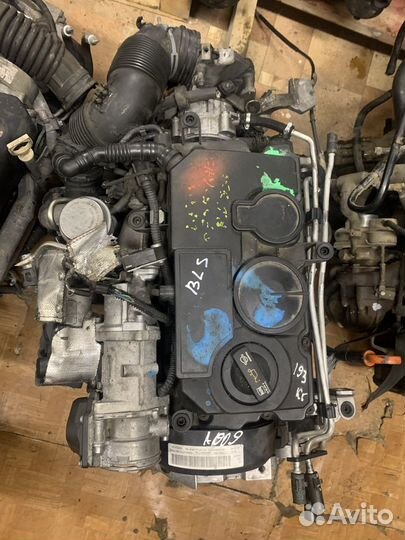 Двигатель двс BLS 1.9d Ауди Сеат Шкода WV