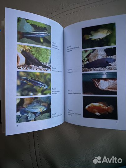 Аквариумистика. Большая энциклопедия