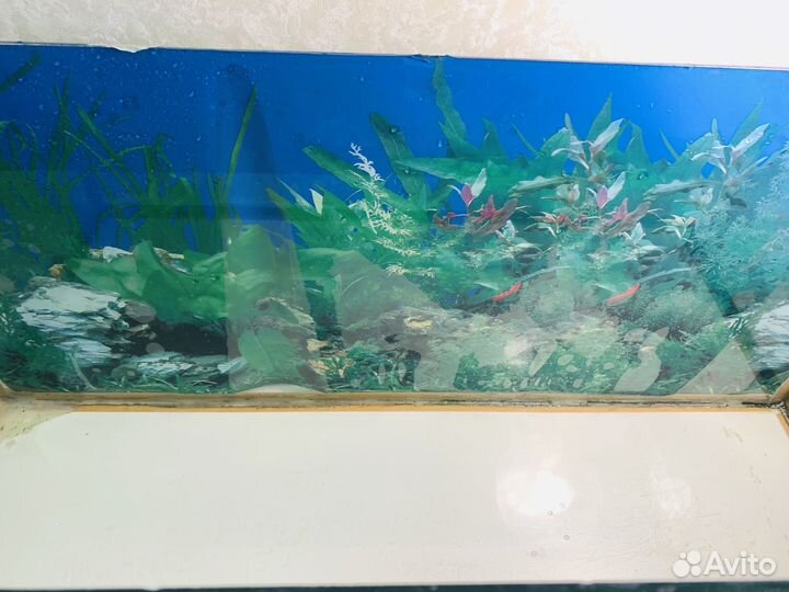 Аквариум 80*33*37, террариум