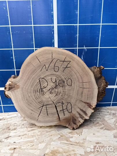 Спил карагач