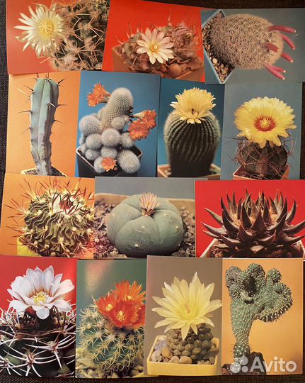 Набор открыток СССР