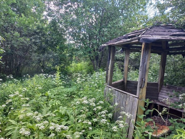 Участок 6 сот. (СНТ, ДНП)