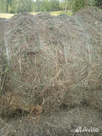 Сено в тюках