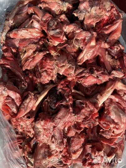 Обрезь баранья с ливера/мясо для собак