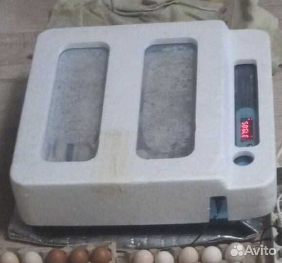 Инкубатор автоматический на 54 яйца