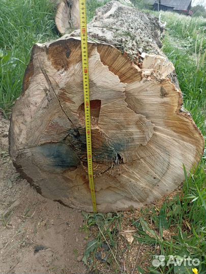 Слэб дерева и спилы (ясень)