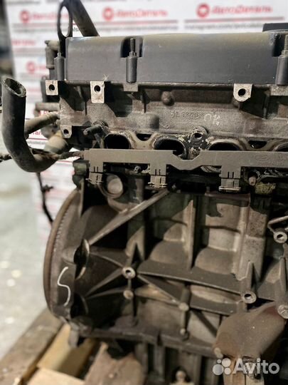 Двигатель контрактный shda Ford 1.6