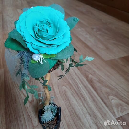 Топиарий из кофейных зерен денежное дерево