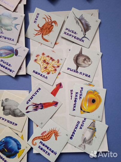 Настольные игры