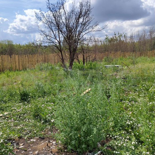 Участок 12 сот. (СНТ, ДНП)