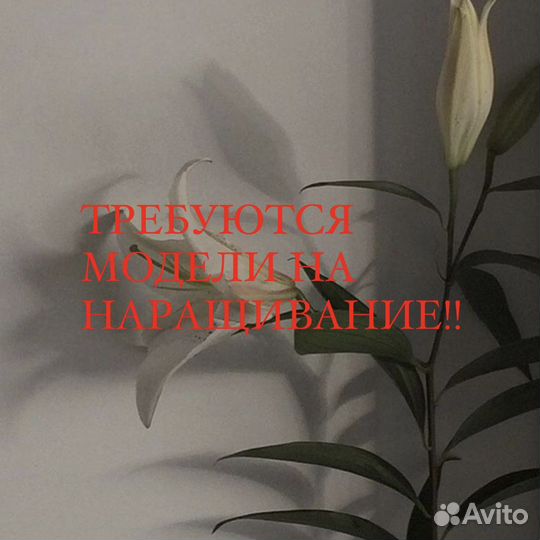 Наращивание ресниц модель