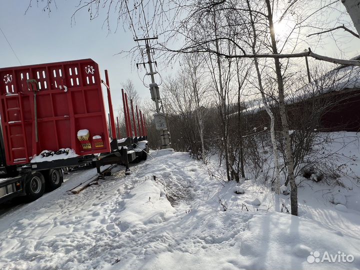 Полуприцеп лесовоз (сортиментовоз) НовосибАРЗ 981300, 2019