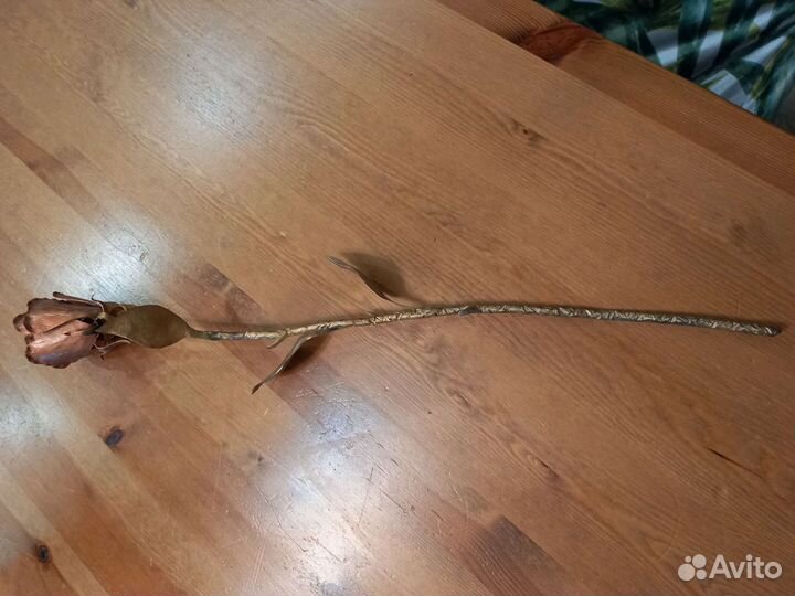 Железная роза