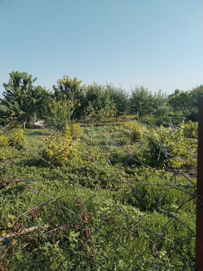 Дом 40 м² на участке 40 сот.