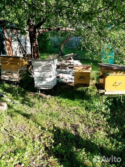Улей для пчел
